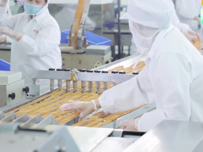 �����ʴ���������long8��OEM ʵ������������