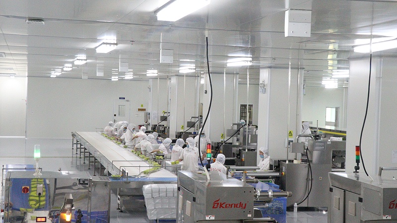 ����long8-��ҵ����