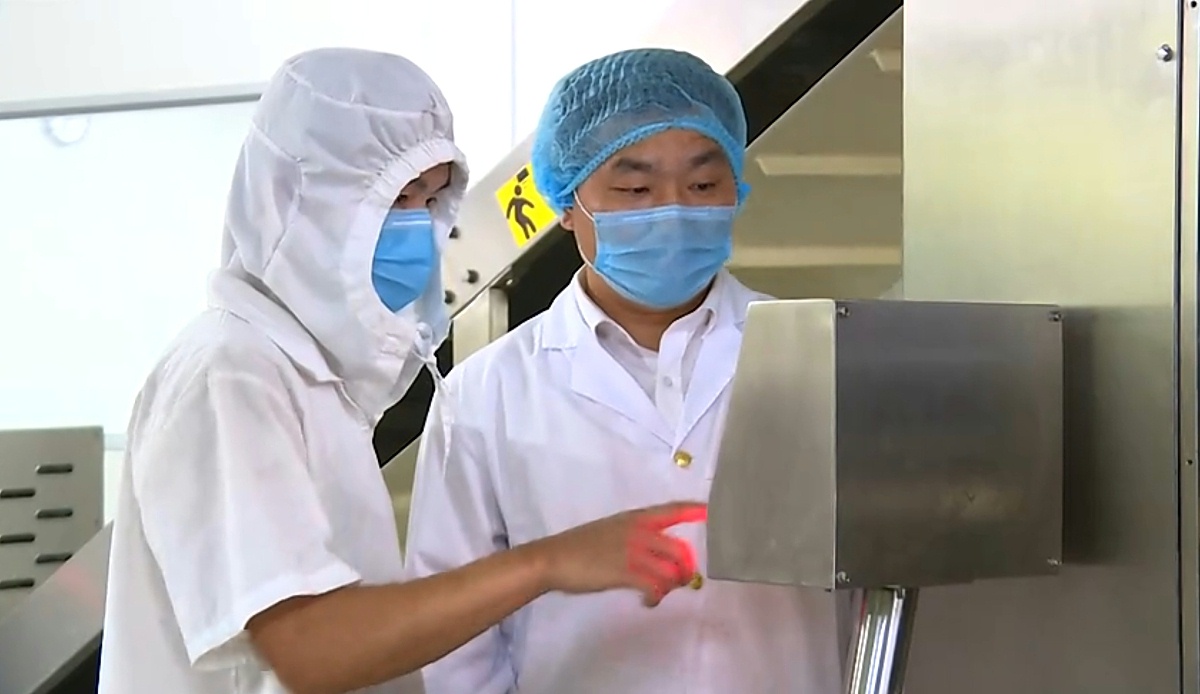 ���ܼ�����������